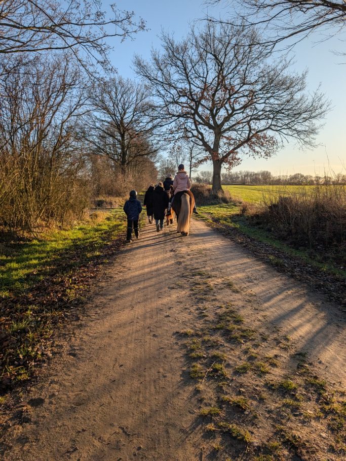 Personen gehen mit einem Pferd auf einem schmalen Weg neben Bäumen.
